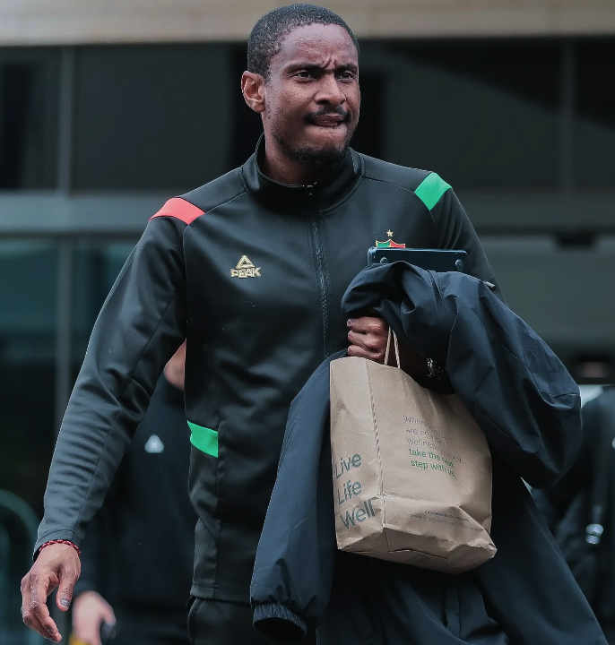 Mokwena, les critiques 